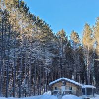 Wilderness Pines Campground ico
