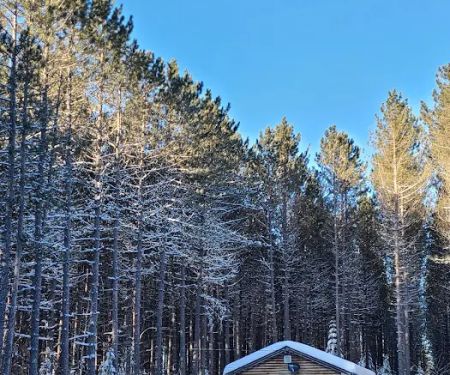 Wilderness Pines Campground
