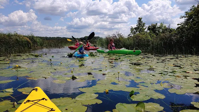 Birchmere Resort & Campground Picture 4