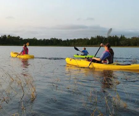 Birchmere Resort & Campground