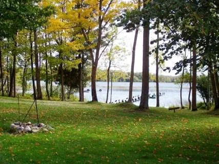 Backwoods RV Park Picture 3