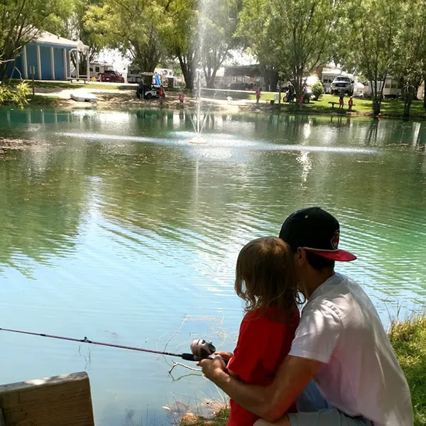 Wild Wings Campground & Marina Picture 10