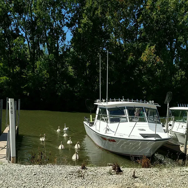 Wild Wings Campground & Marina Picture 6