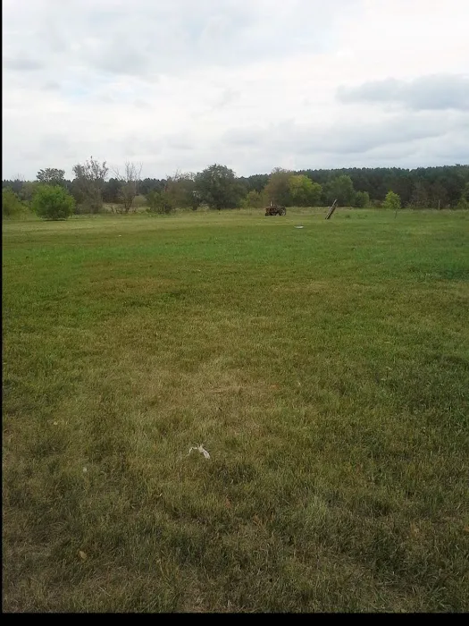 Olsen's RV Park Picture 6