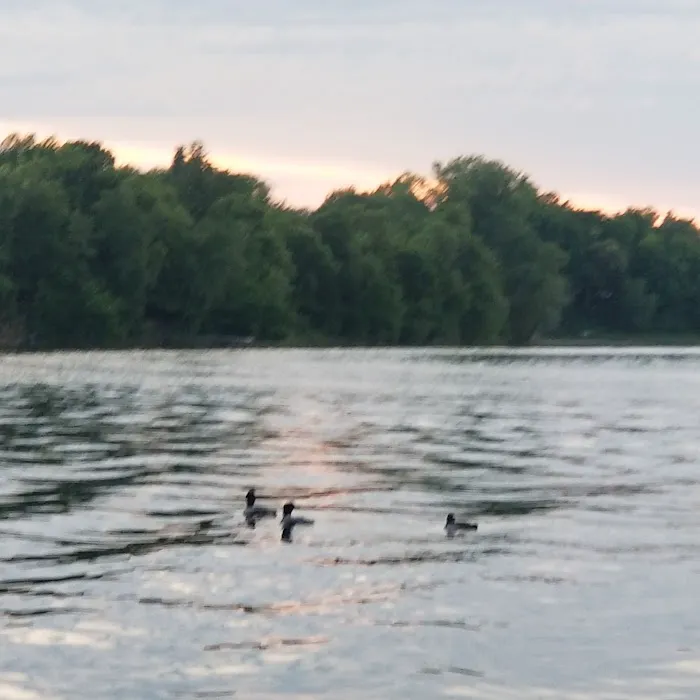 Leaf Lake RV Park Picture 9