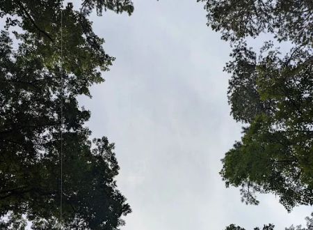 Apache