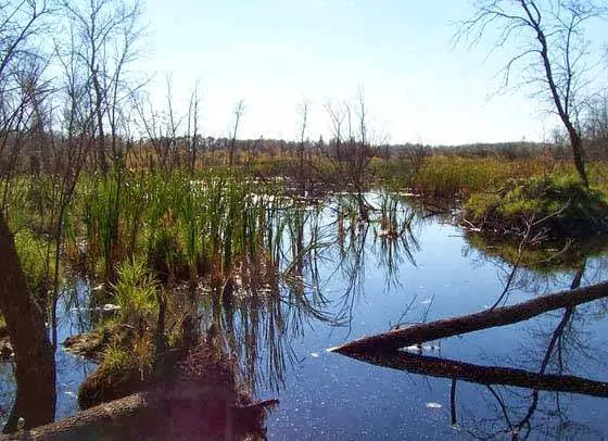 Walker Lake Preserve Picture 4