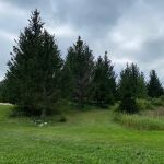Maplewood RV Park and Camp