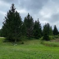 Maplewood RV Park and Camp ico