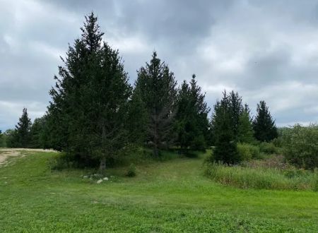 Maplewood RV Park and Camp