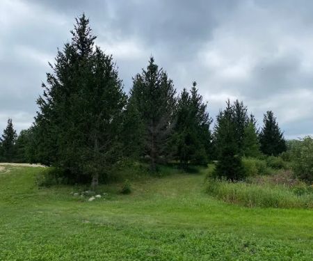 Maplewood RV Park and Camp
