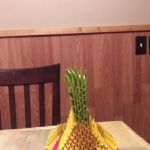 Olson Mobile Home Park