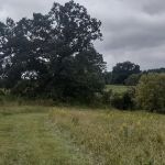 Van Hoy Farms Campground