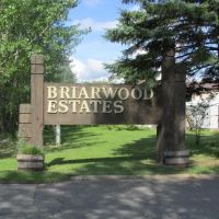 Briarwood Estates ico