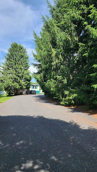 Cherry Mobile Home Park Picture 8