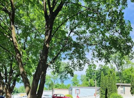 Cherry Mobile Home Park