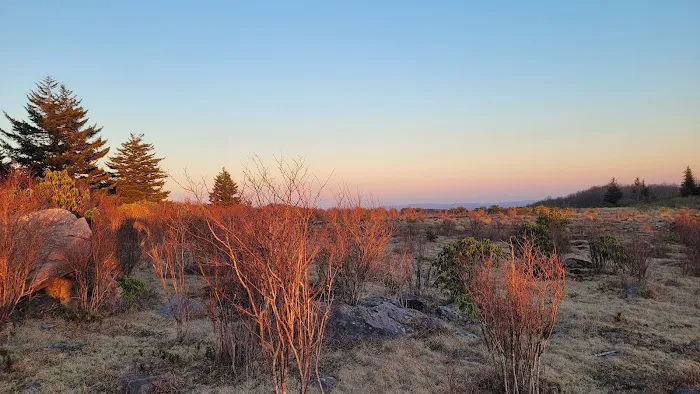 Scales Campground Picture 1