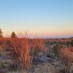 Scales Campground