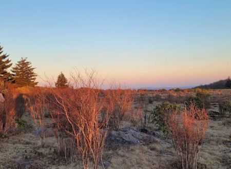 Scales Campground