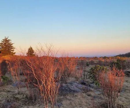 Scales Campground
