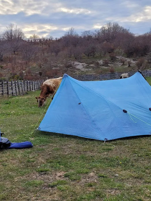 Scales Campground Picture 8