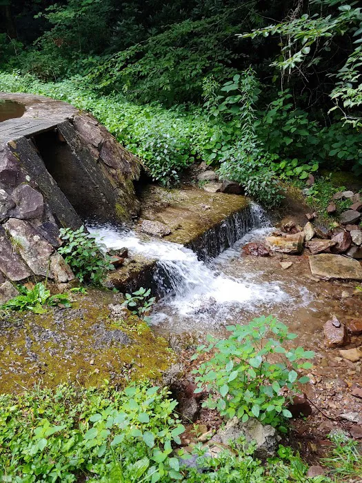 Grindstone Campground Picture 5