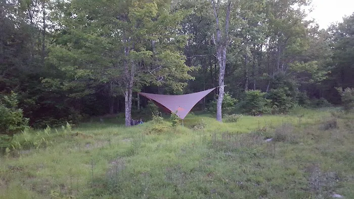 Wise Shelter Picture 7