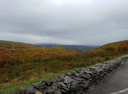 Grayson Highlands Campground