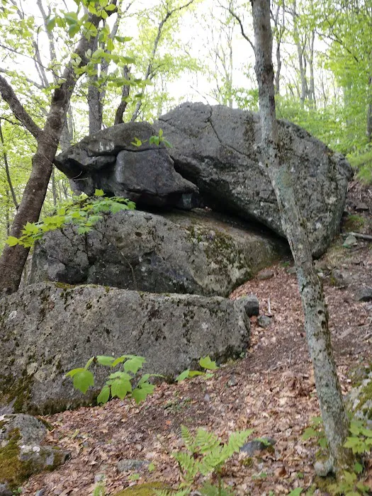 Hickory Ridge Campground Picture 1