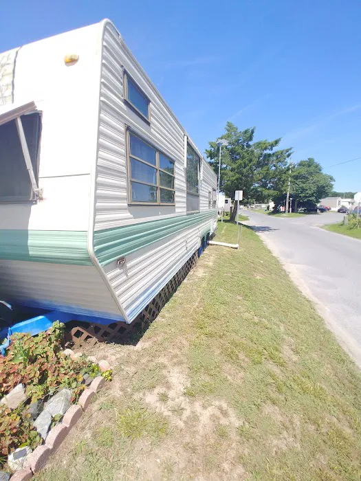 Bayshore Inc Camp Site & Park Picture 5