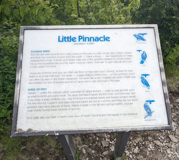 Little Pinnacle Picture 6