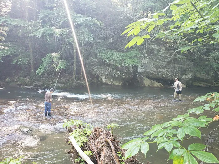 Helton Creek Campground Picture 4