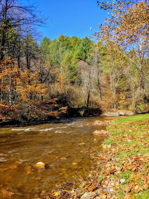 Helton Creek Campground Picture 9