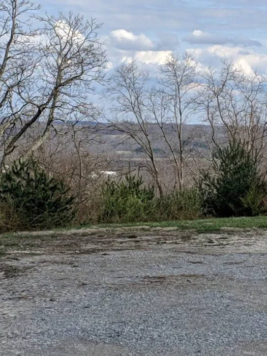 C and T Campground Picture 6