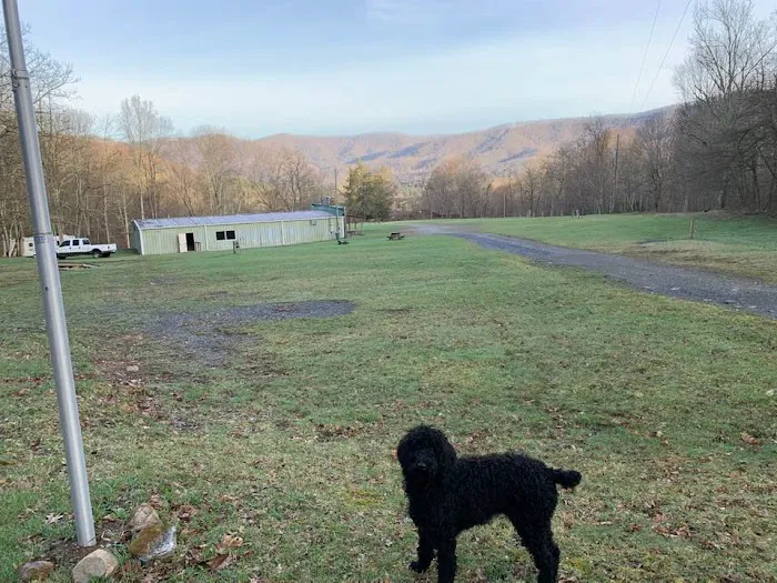High Country Campground Picture 4