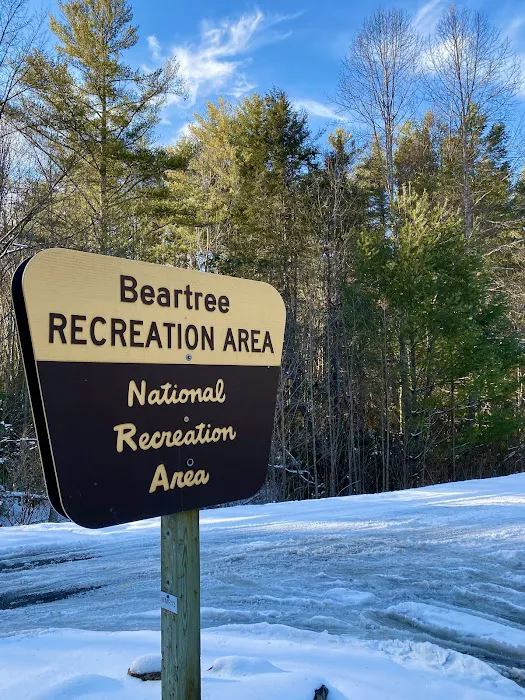 Beartree Campground Picture 9