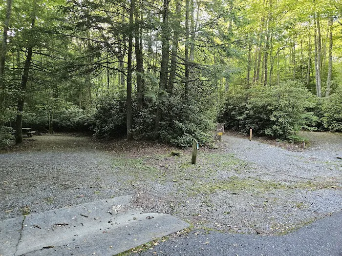 Beartree Campground Picture 10