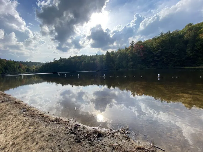 Beartree Campground Picture 8
