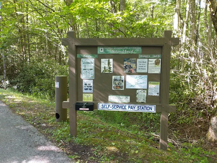 Beartree Campground Picture 6