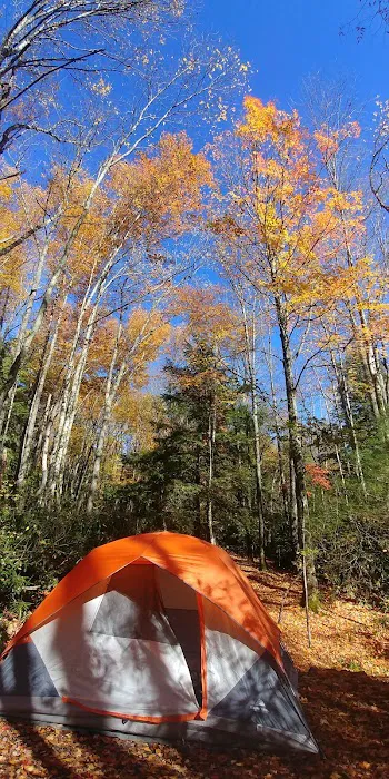 Beartree Campground Picture 4