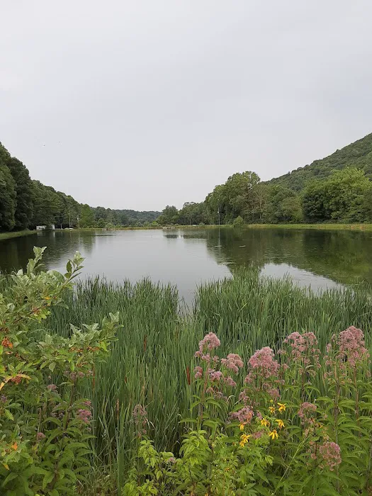 Beartree Recreation Area Picture 3