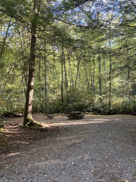 Beartree Recreation Area Picture 9
