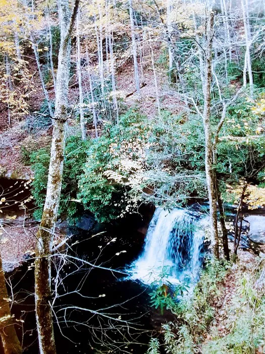 Rainbow Campground Picture 5
