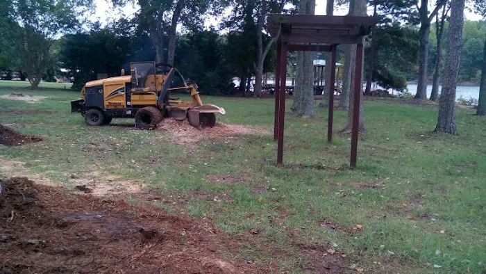 Kingswood Picture 5