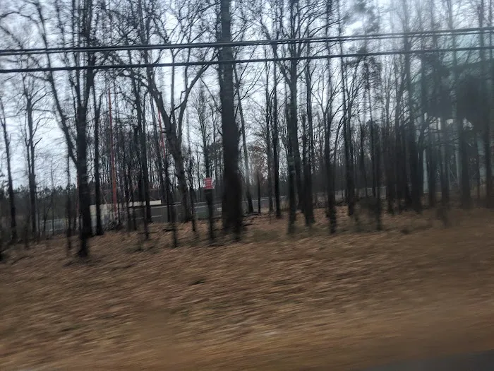 Kingswood Picture 10