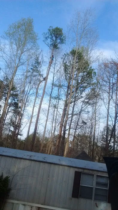 Kingswood Picture 7