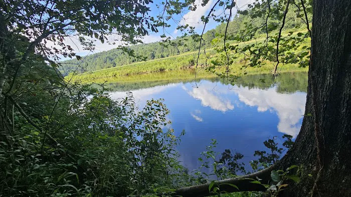 New River State Park, Wagoner Access Rd. Picture 5