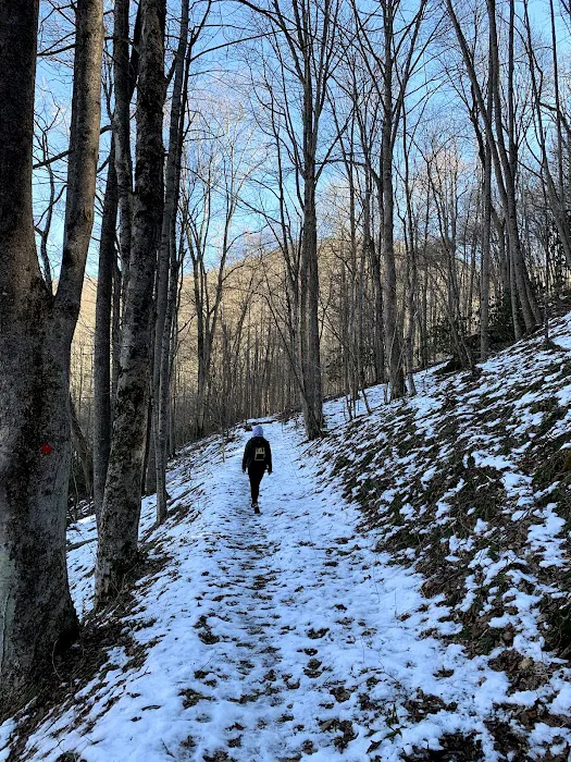New River State Park, Wagoner Access Rd. Picture 10