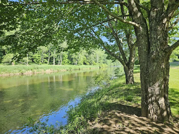 New River State Park, Wagoner Access Rd. Picture 2
