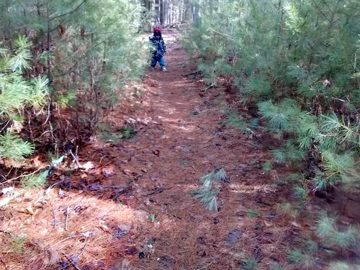 Raccoon Holler Campground Picture 9